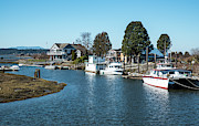 Mouth of the Samish Photograph by Tom Cochran