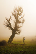 My Only Friend Photograph by Ali Memari