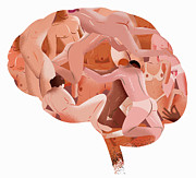 Naked Bodies Forming Brain Photograph by Ikon Images