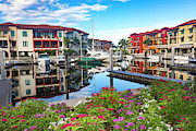 Boats in Naples Florida Series 9205 Photograph by Carlos Diaz