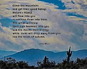 Nature's Peace Photograph by Judy Kennedy Nature's Peace Photograph by Judy Kennedy