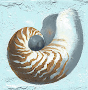 Nautilus Shell Painting by Laurie Snow Hein