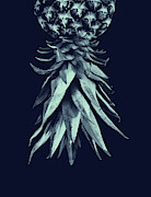 Navy Blue Pineapple Upside Down #1 #tropical #fruit #decor #art  Photograph by Anitas and Bellas Art