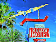 Neon Diver Photograph by Lenore Locken