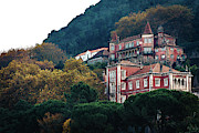 Nestled In Too Photograph by Nisah Cheatham