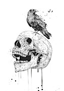 New skull Drawing by Balazs Solti New skull Drawing by Balazs Solti