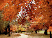 Autumn's Awning Photograph by Jessica Jenney