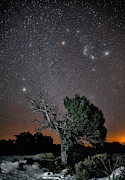 Night Sky Over Grand Canyon Photograph by James Zipp