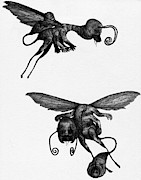 Nightmare Stinger - Artwork Drawing by Ryan Nieves