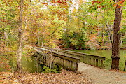 Noland Trail Bridge Photograph by Donna Twiford Noland Trail Bridge Photograph by Donna Twiford