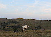 Not a fell walker Photograph by Lukasz Ryszka Not a fell walker Photograph by Lukasz Ryszka