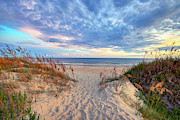 Oak Island NC Beach Walkout Photograph by Nick Noble