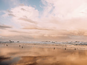 Ocean Waves And Birds At Sunrise On Oregon Beach Photograph by Cavan Images