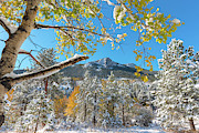 October in Colorado Photograph by Gary Kochel