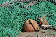 Of The Sea Photograph by Cathy Kovarik Of The Sea Photograph by Cathy Kovarik