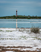 On Anclote Key Photograph by Steven Sparks On Anclote Key Photograph by Steven Sparks