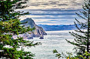 Oregon Coast from Cape Falcon Photograph by Bruce Block