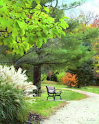 Ornamental Grass in Autumn Park Photograph by Susan Savad Ornamental Grass in Autumn Park Photograph by Susan Savad