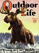 Outdoor Life Magazine Cover December 1939 Painting by Outdoor Life