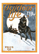 Outdoor Life Magazine Cover February 1907 Painting by Outdoor Life