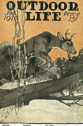 Outdoor Life Magazine Cover February 1910 Painting by Outdoor Life