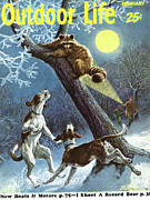 Outdoor Life Magazine Cover February 1955 Drawing by Outdoor Life