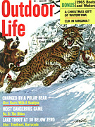 Outdoor Life Magazine Cover January 1965 Drawing by Outdoor Life