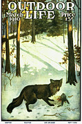 Outdoor Life Magazine Cover March 1910 Painting by Outdoor Life