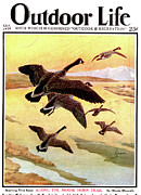 Outdoor Life Magazine Cover October 1929 Drawing by Outdoor Life