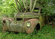 Overgrown Photograph by Minnie Gallman