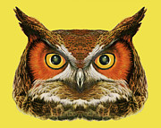 Owl Head Drawing by CSA Images Owl Head Drawing by CSA Images