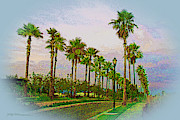 Palms in The Mist Photograph by Pat Wagner