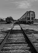 Parked Photograph by Robert Wilder Jr