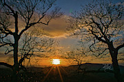 Parkway Sunset Photograph by Meta Gatschenberger