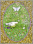 Pea Hen with Egg and Butterfly Digital Art by Lise Winne
