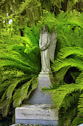Peaceful  Thoughts at Bonaventure Cemetary Photograph by Jon Glaser