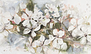 Peach Blossom Painting by Patricia Pinto