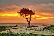 Pebble Beach Sunset Photograph by Meta Gatschenberger