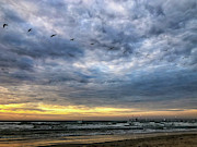 Pelicans at Sunrise Photograph by Debra Martz Pelicans at Sunrise Photograph by Debra Martz