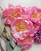 Peony 22 Photograph by Lupen Grainne