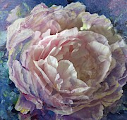 Peony -Transparent Petals Painting by Ryn Shell