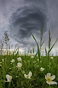 Perfect Mistake Photograph by Aaron J Groen Perfect Mistake Photograph by Aaron J Groen
