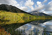 Perfect Morning Photograph by Ronnie And Frances Howard