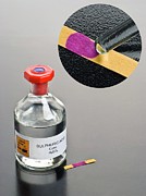 Ph Of Concentrated Sulphuric Acid Photograph by Science Photo Library