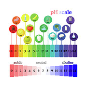 Ph Scale Photograph by Science Photo Library