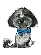 Pierce 4758 Drawing by John LaFree