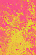 Pink and Yellow Marble Digital Art by Jennifer Walsh Pink and Yellow Marble Digital Art by Jennifer Walsh