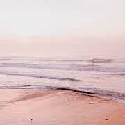 Pink Coastal Photograph by Bonnie Bruno