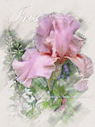 Pink Iris Graphic Digital Art by Mark Mille Pink Iris Graphic Digital Art by Mark Mille