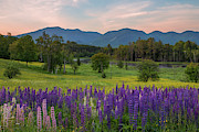 Pink Sky Sugar Hill Morning Photograph by White Mountain Images Pink Sky Sugar Hill Morning Photograph by White Mountain Images